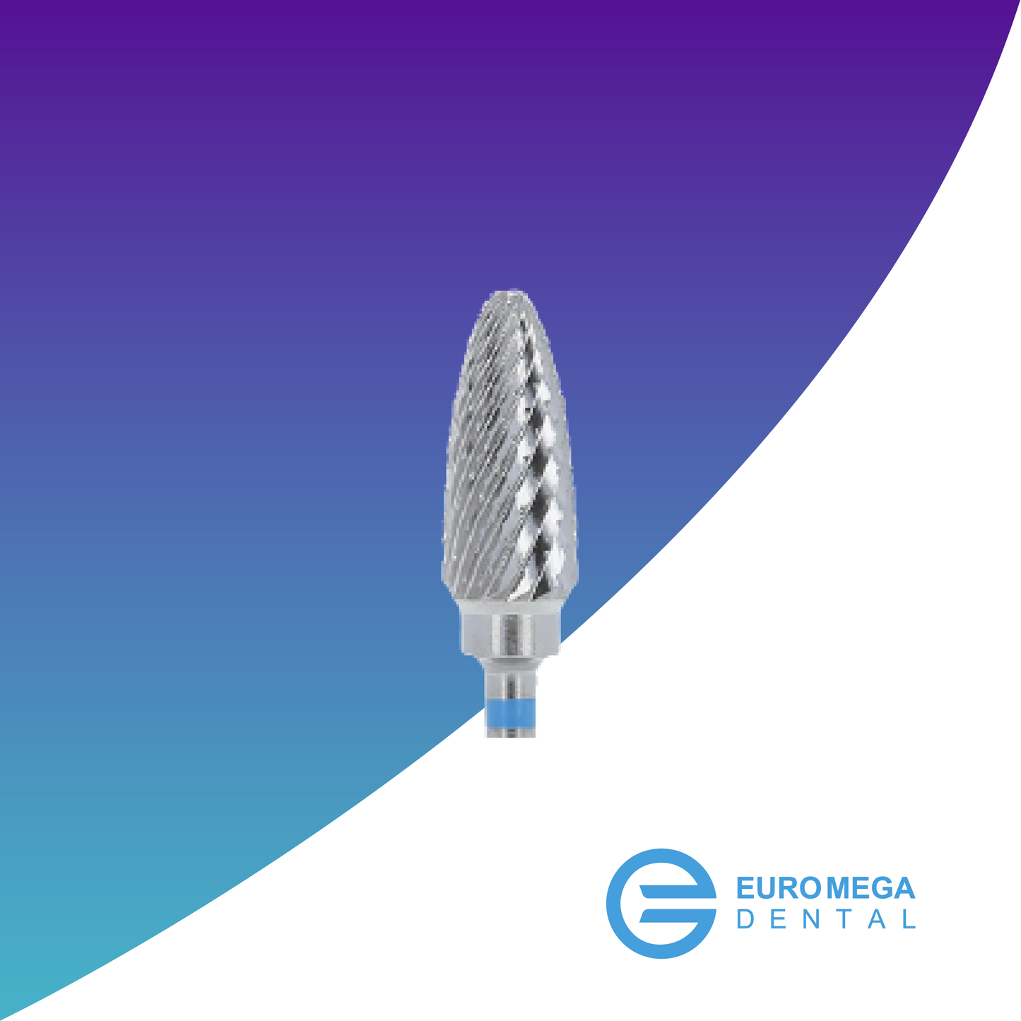 CX251 de Baja - JOTA