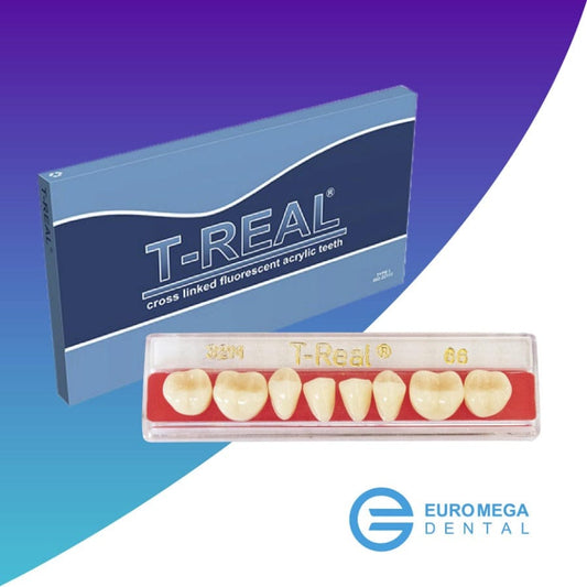 Dientes T-Real Posteriores (Inferiores)